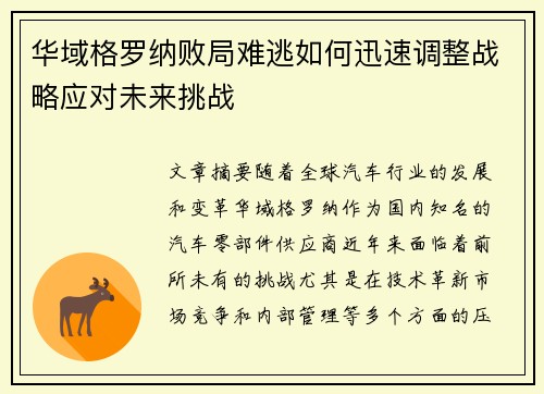 华域格罗纳败局难逃如何迅速调整战略应对未来挑战