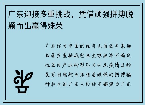 广东迎接多重挑战，凭借顽强拼搏脱颖而出赢得殊荣